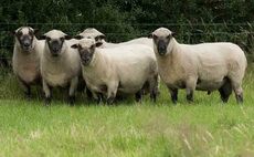 Farming issues top of voters' agenda in North Shropshire by-election