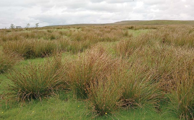 The Trinity Natural Capital Pro Council has been created to develop a ‘new trusted natural capital valuation, accounting, and reporting framework' The Trinity Natural Capital Pro Council has been created to develop a ‘new trusted natural capital valuation, accounting, and reporting framework'