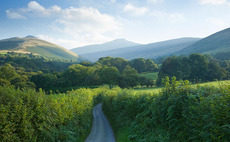 Wales' future farming schemes must consider common land