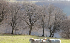 Farmers concern over short term tenancies
