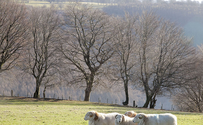 The Right to Roam Act under a Labour Government would allow people to access land differently The Right to Roam Act under a Labour Government would allow people to access land differently
