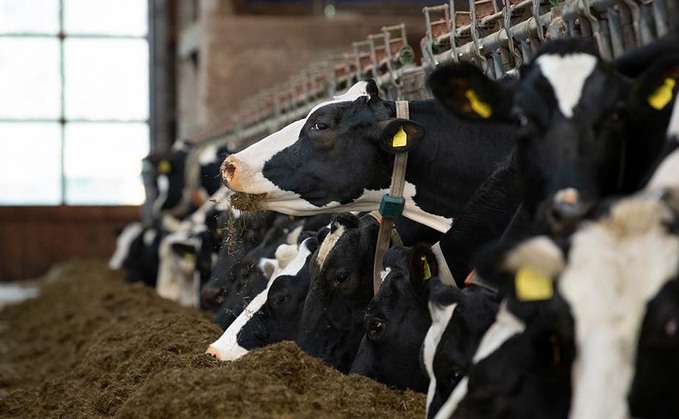 The value of optimising forage quality