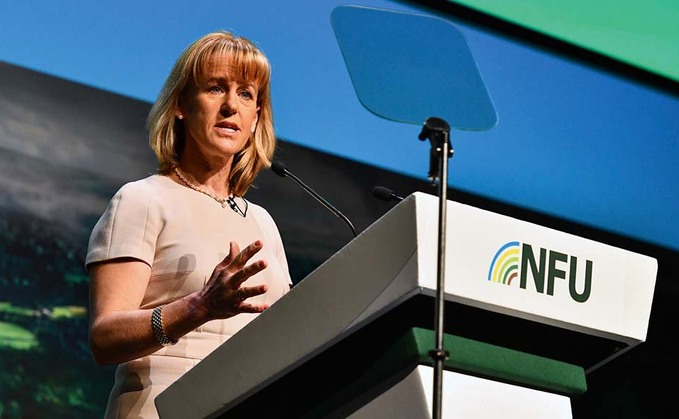 NFU leader Minette Batters NFU leader Minette Batters