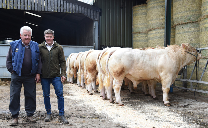 Roy and Neil Blyth began to build their pedigree Marwood Charolais herd in 1993. Roy and Neil Blyth began to build their pedigree Marwood Charolais herd in 1993.
