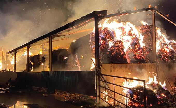 Fire crews confirmed 17 animals had been killed in the incident (Tenbury Wells Fire Station) Fire crews confirmed 17 animals had been killed in the incident (Tenbury Wells Fire Station)