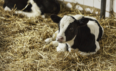Join the pledge to celebrate the highest standards of animal well-being