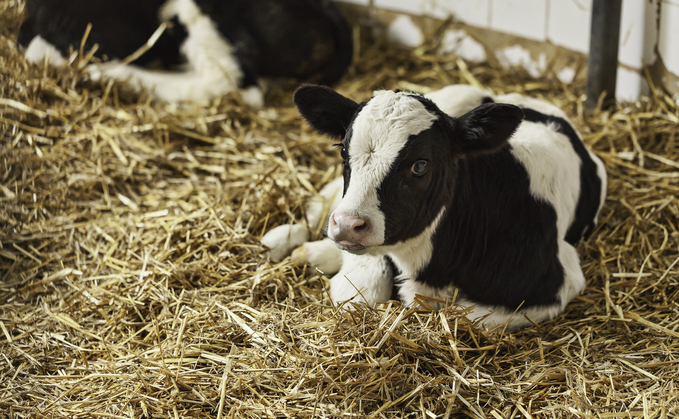 Farmers are being urged to sign up to the Cattle Well-being Pledge Farmers are being urged to sign up to the Cattle Well-being Pledge
