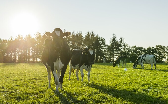 Partner Insight: Improve herd fertility through treating mastitis cases effectively