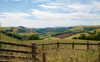 Welsh farmers uncertain about Habitat Wales Scheme 