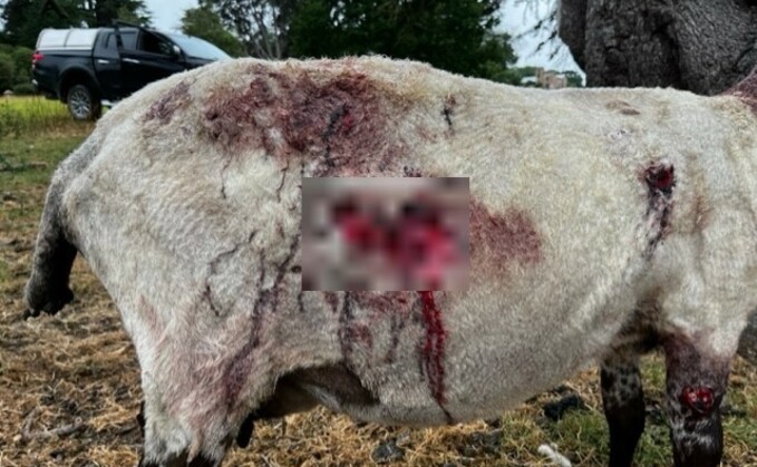 Farmers warned to take action amid growing numbers of rural visitors Farmers warned to take action amid growing numbers of rural visitors